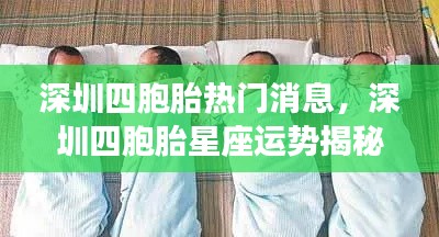 深圳四胞胎,星座运势揭秘与热门事件探究