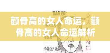颧骨高的女人命运探究与解析