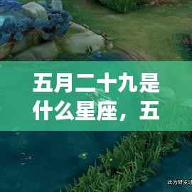 五月二十九日星座运势详解,探寻属于你的星辰轨迹,开启幸运之旅