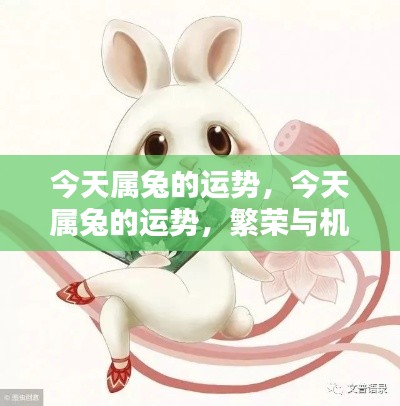 今日属兔运势概览,繁荣与机遇并存,把握好运共创辉煌!