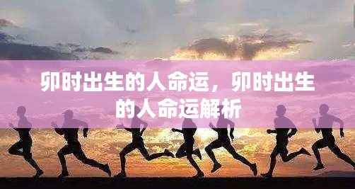 卯时出生的人命运详解与解析