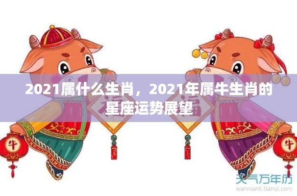 2021年属牛生肖的星座运势展望
