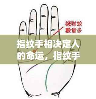 指纹手相揭秘命运密码,揭示未来蓝图与人生轨迹
