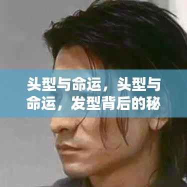 头型与命运,发型背后的神秘寓意探索