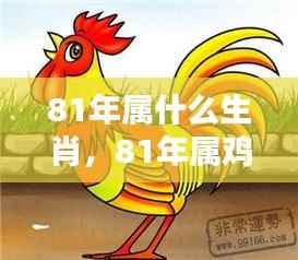 揭秘生肖运势,揭秘属鸡人的命运机遇与挑战,探寻生肖鸡在命运之轮下的表现