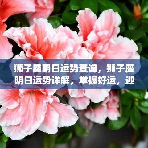 狮子座明日运势详解,把握好运势,迎接灿烂的一天