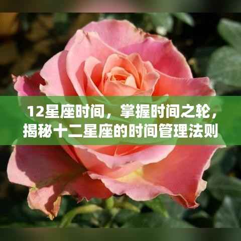揭秘十二星座的时间管理法则,掌握时间之轮,洞悉星座时间规律
