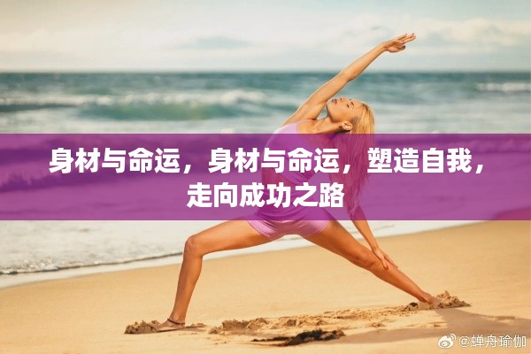 身材与命运,塑造自我,迈向成功之路