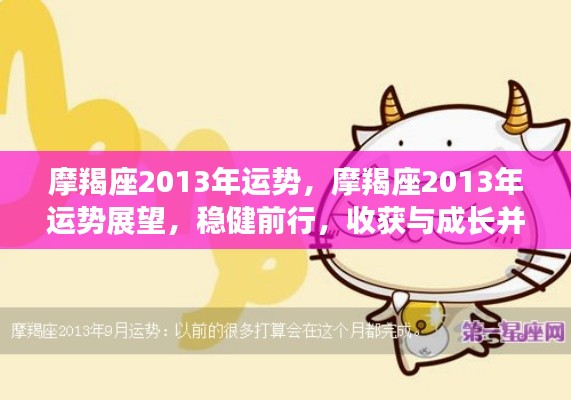 摩羯座2013年运势展望,稳健前行,收获与成长并存的运势分析