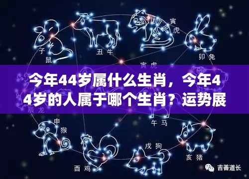 今年44岁属生肖运势展望与特点解析