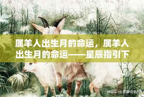 属羊人出生月的命运详解,星辰指引下的生命轨迹