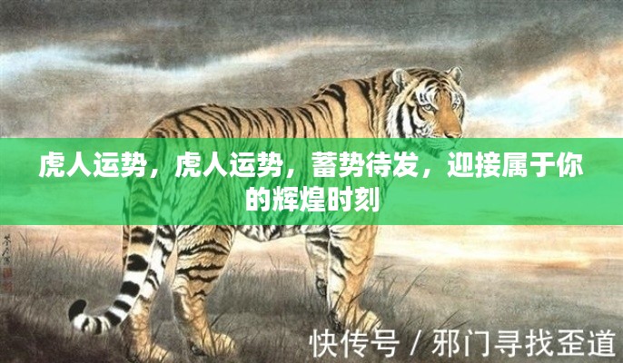 虎人蓄势待发,迎接属于你的辉煌时刻运势展望