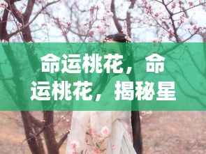 正声雅音 第5页