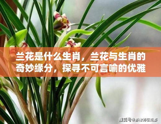 洵属可贵 第6页