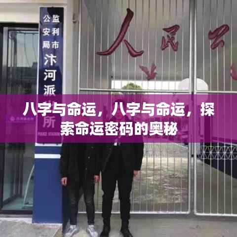 八字与命运,解锁命运密码的奥秘探索