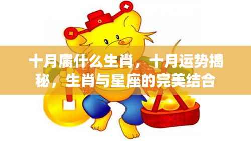 十月生肖运势揭秘，生肖与星座的完美融合
