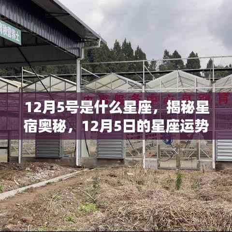 揭秘星宿奥秘,12月5日的星座运势解析及星座归属