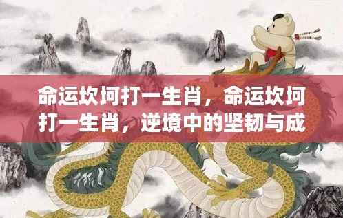 逆境中的坚韧与成长,命运坎坷下的生肖挑战