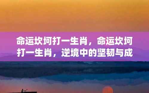 逆境中的坚韧与成长,命运坎坷下的生肖挑战