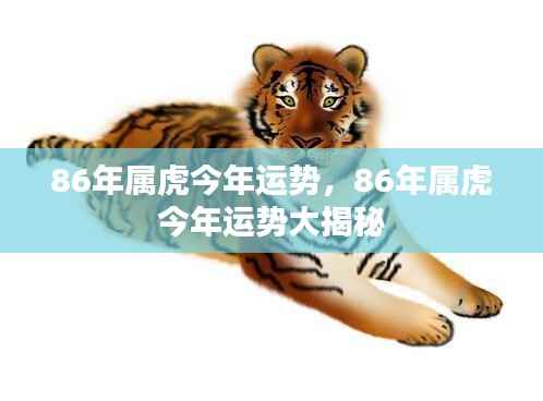 86年属虎人今年运势大揭秘及运势分析