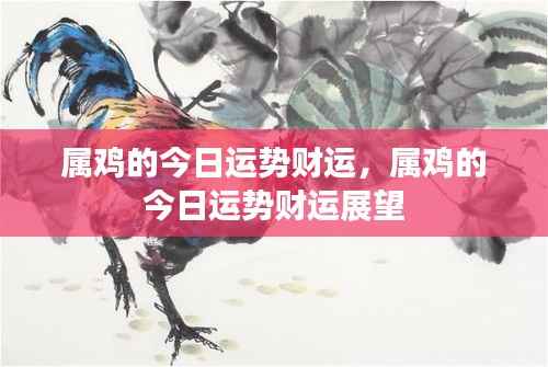 属鸡今日财运展望,财运运势分析