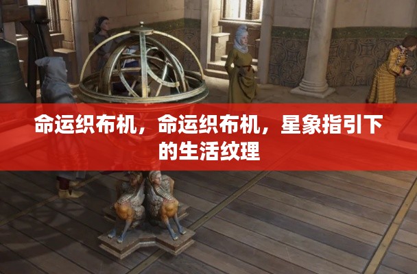 衣无二彩 第6页