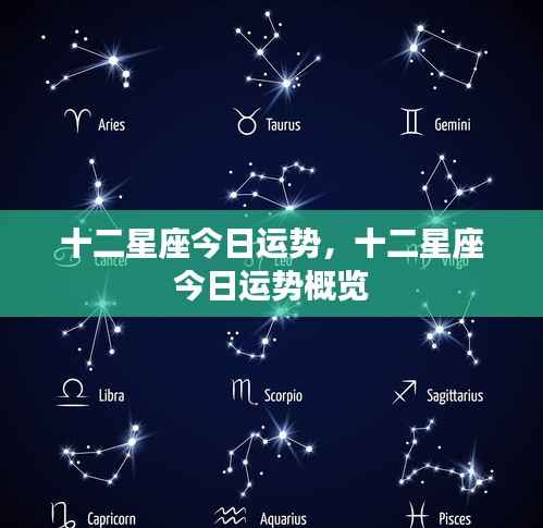 十二星座今日运势概览及星座运势分析