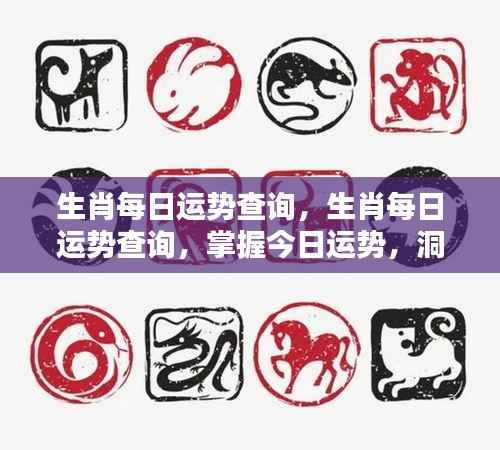 今日生肖运势解析,掌握运势动态,洞悉未来走向。