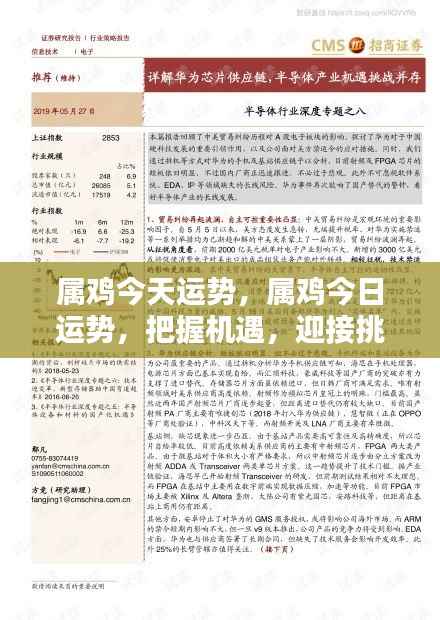 属鸡今日运势展望，把握机遇，迎接挑战