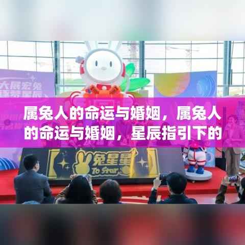 属兔人的命运与婚姻,星辰指引下的缘分展望及未来展望