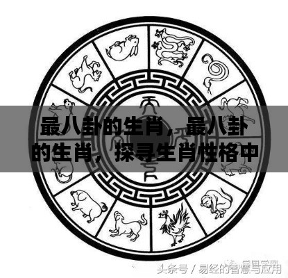 揭秘生肖八卦性格,探寻最八卦的生肖的秘密