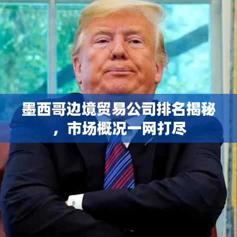 墨西哥边境贸易公司排名揭秘,市场概况一网打尽