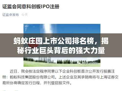 蚂蚁庄园上市公司排名榜,揭秘行业巨头背后的强大力量