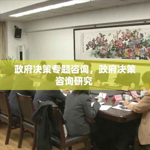 政府决策专题咨询,政府决策咨询研究