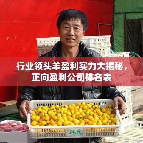 行业领头羊盈利实力大揭秘,正向盈利公司排名表