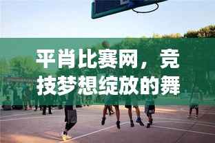 平肖比赛网，竞技梦想绽放的舞台