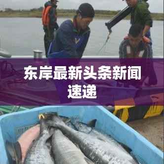 东岸最新头条新闻速递