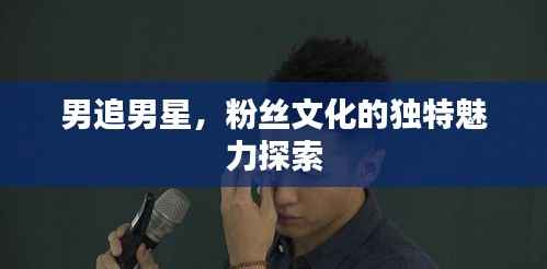 男追男星，粉丝文化的独特魅力探索