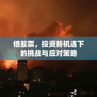 倍股票,投资新机遇下的挑战与应对策略