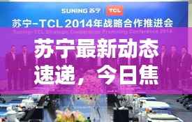 苏宁最新动态速递，今日焦点新闻摘要