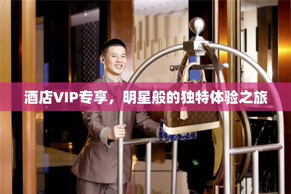 酒店VIP专享,明星般的独特体验之旅