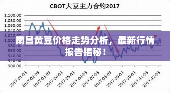 南昌黄豆价格走势分析，最新行情报告揭秘！