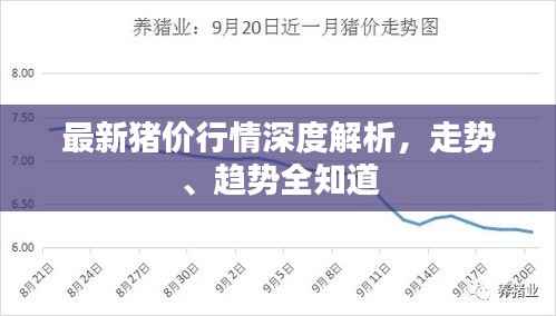 最新猪价行情深度解析，走势、趋势全知道
