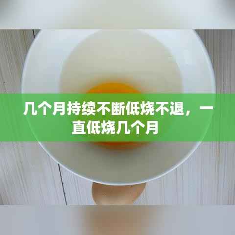 几个月持续不断低烧不退,一直低烧几个月