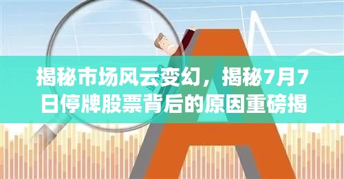 揭秘市场风云变幻,揭秘7月7日停牌股票背后的原因重磅揭秘!