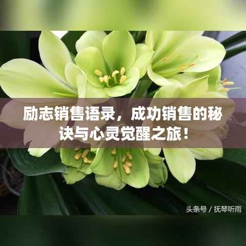 励志销售语录,成功销售的秘诀与心灵觉醒之旅!