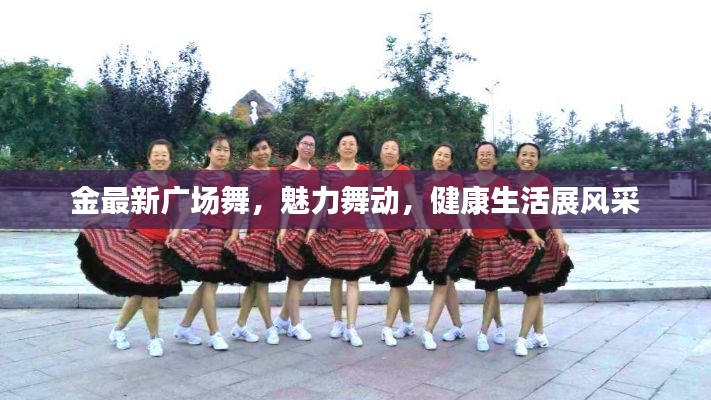 金最新广场舞,魅力舞动,健康生活展风采